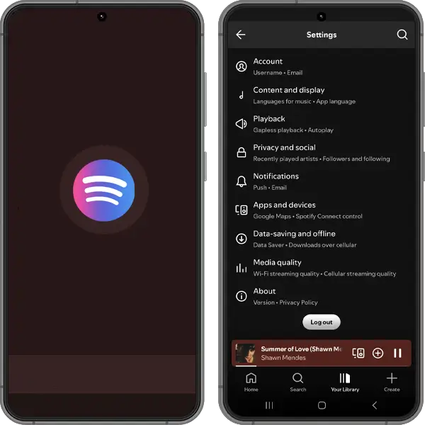 Spotify ReVanced APK Screenshot