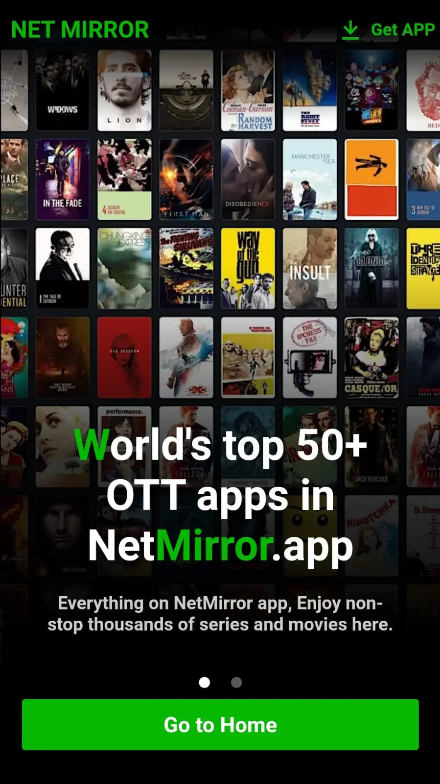 NetMirror Screenshot