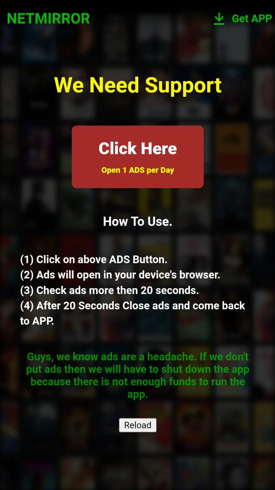 NetMirror Screenshot