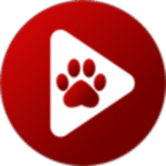 Bear Player APK v2.20.24 (27.98 MB)