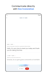 Google Translate Screenshot