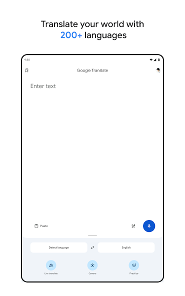 Google Translate Screenshot