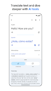 Google Translate Screenshot